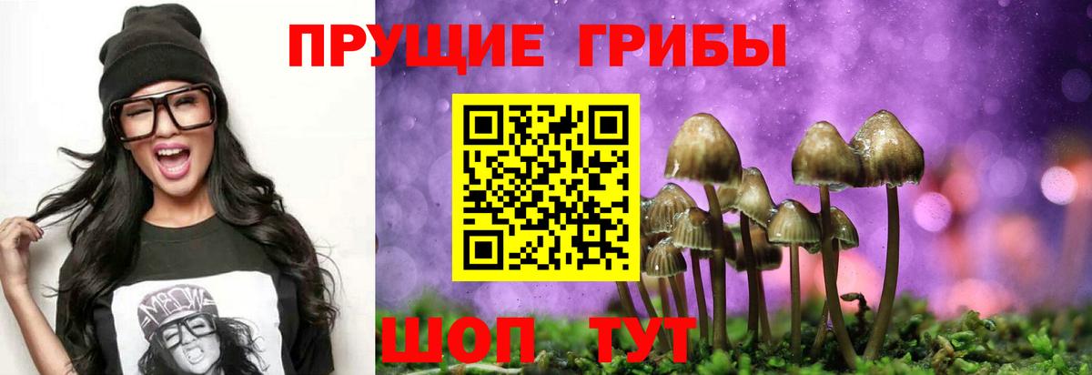Галлюциногенные грибы прущие грибы Бугуруслан