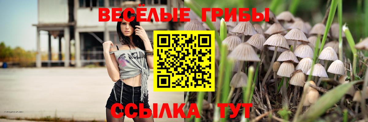 Псилоцибиновые грибы мухоморы  Вход с VPN  Бугуруслан 